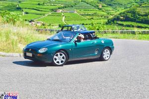 MG F ( ASI )
