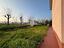 Immagine 17