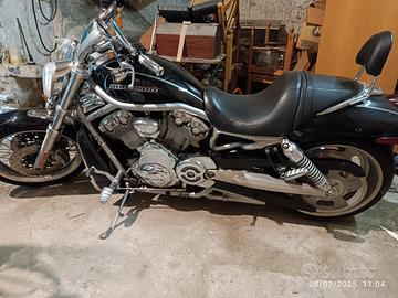 Harley Davidson V-Rod