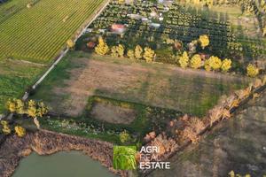 Terreno agricolo di 5 ettari | TR480