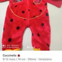 veneziano coccinella