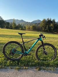 Lee Cougan Rampage 428