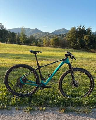 Lee Cougan Rampage 428