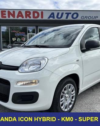 FIAT Panda Pandina 1.0 65 CV Hybrid Icon RUOT...