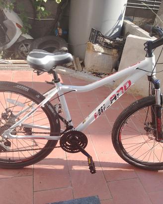 biciclette 