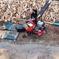 legna da ardere secca 