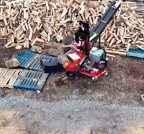 legna da ardere secca 