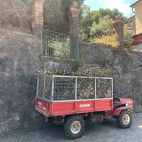 Motoagricola caron rs20