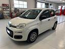 fiat-panda-1-2-easy