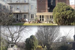 Casa d'epoca ristrutturata con cura in 3 fasi (199