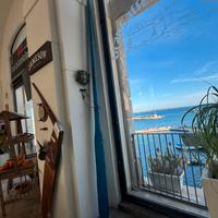 Coppia di remi per barca – perfetti per la pesca