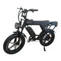 Bici Elettrica C80