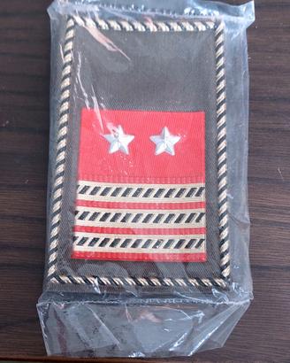 Coppia Gradi 1° Luogotenente Esercito Tubolare