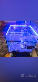 acquario con lampada led professionale 