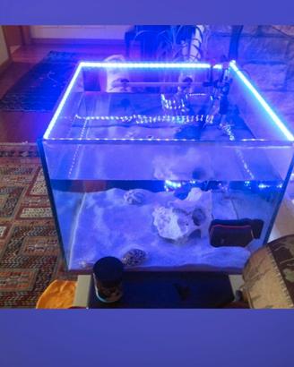 acquario con lampada led professionale 