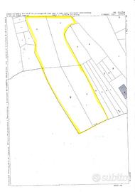 Terreni edificabili,agricoli o boschivi in Isernia