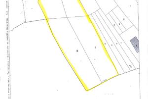 Terreni edificabili,agricoli o boschivi in Isernia