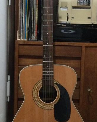 chitarra kayama 12 corde Folk Vintage