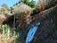 Immagine 25