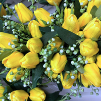 Tulipani gialli in cassette  – zero manutenzione