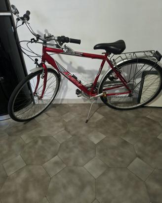bicicletta