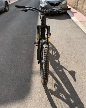 Santacruz  Bullit Podium Limited Edition fine 2025