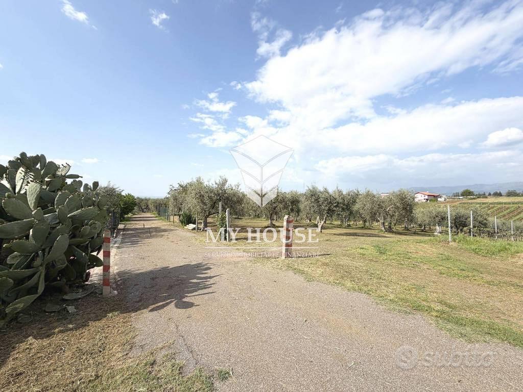 Terreno di 3700 m² a San Cesareo - Vista 4