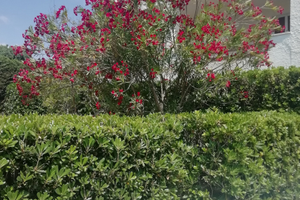 Casa vacanza sul mare