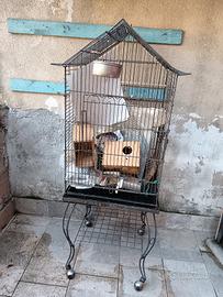 gabbie per pappagalli 