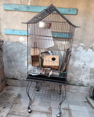 gabbie per pappagalli 