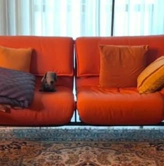 divano 2 posti cassina vico magistretti 