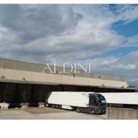 Capannone mq. 8000 cod. r14436