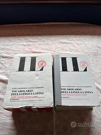 Dizionario latino