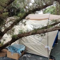 Tenda igloo 4 posti + attrezzatura campeggio