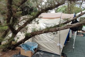 Tenda igloo 4 posti + attrezzatura campeggio