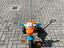 Immagine 3