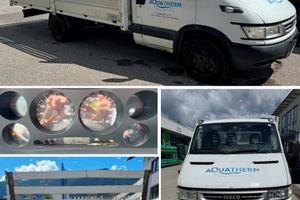 ivevo daily