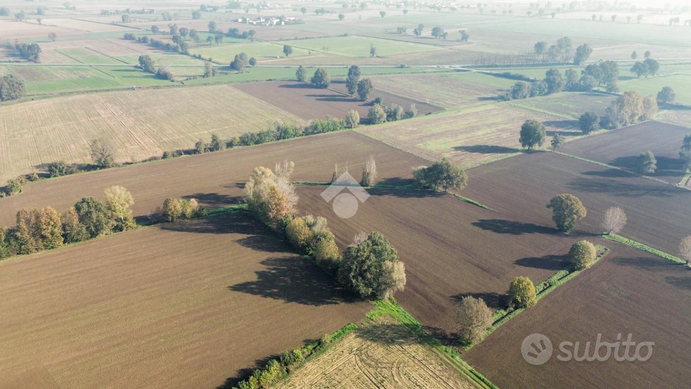 TERRENO A SAN DANIELE PO - Altro