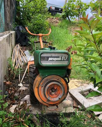 Motocoltivatore Pasquali 917