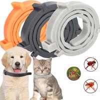 COLLARE PER GATTI E CANI 