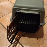 Trasportino per gattini