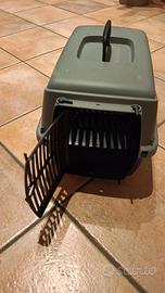 Trasportino per gattini