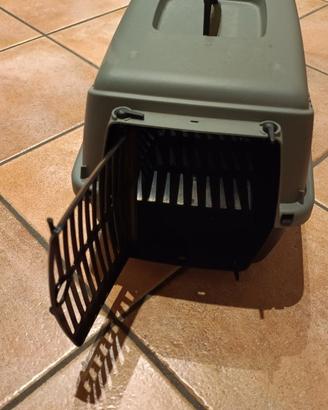 Trasportino per gattini