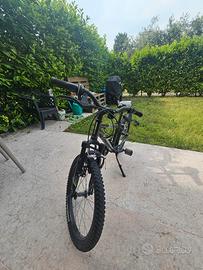 rockrider