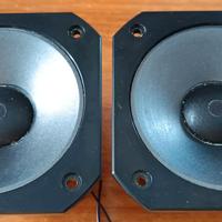 Pioneer Mid-Woofer