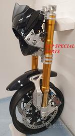 Honda hornet forcelle ohlins pinze brembo stylema