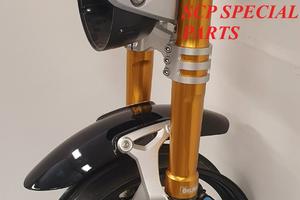 Honda hornet forcelle ohlins pinze brembo stylema