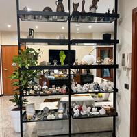 Libreria Zenit Rimadesio