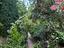 Immagine 19