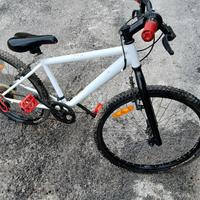 bicicletta da bambino